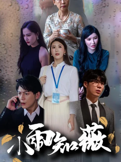 Mưa Nhỏ Biết Vi